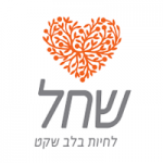 שיפור רשומות דאטה ומקסום טיפול בלידים בחברת שחל להגדלת יחס המרה